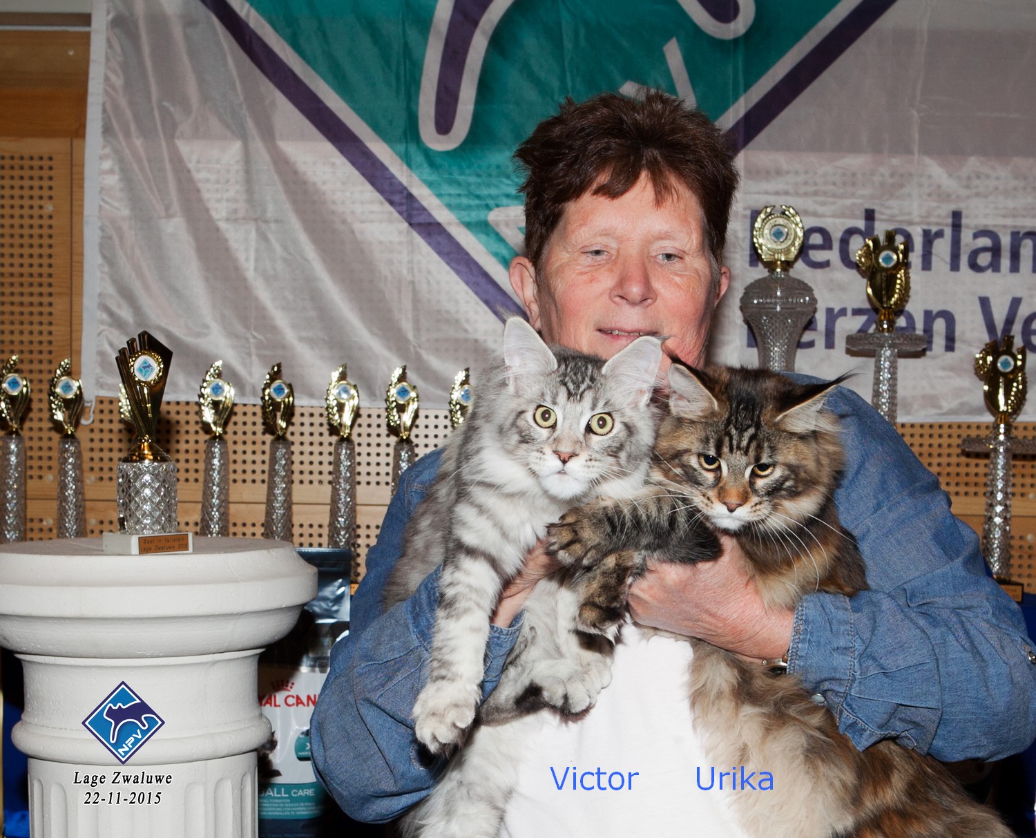 SHOWFOTO lAGE ZWALUWEbiv victorenurika
