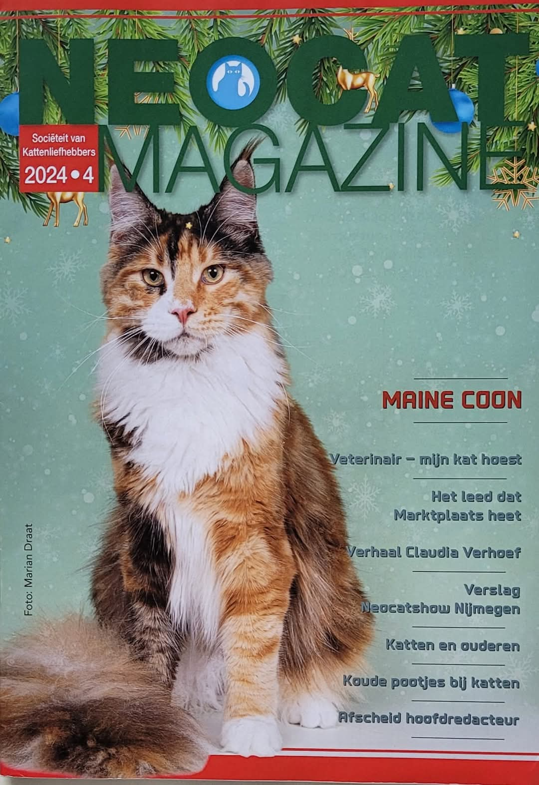 cover kersteditie neocatmag